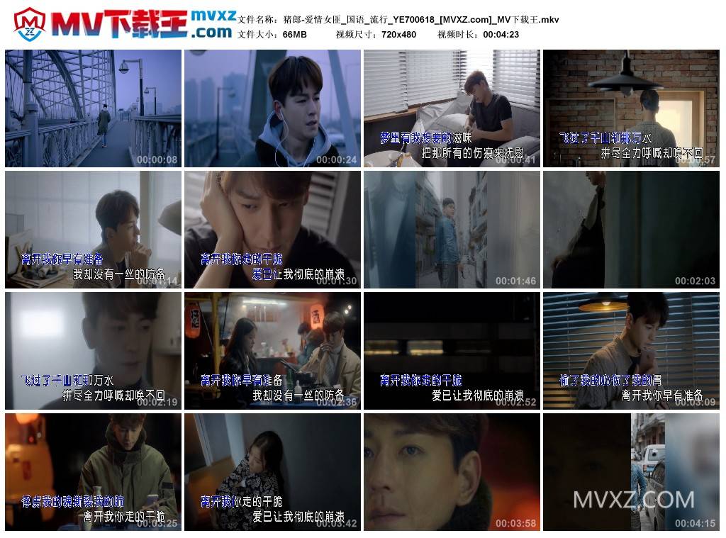 猪郎-爱情女匪_国语_流行_YE700618